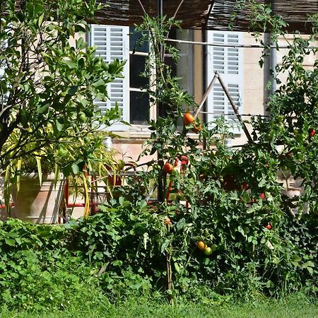 Les Passiflores グラース エクステリア 写真